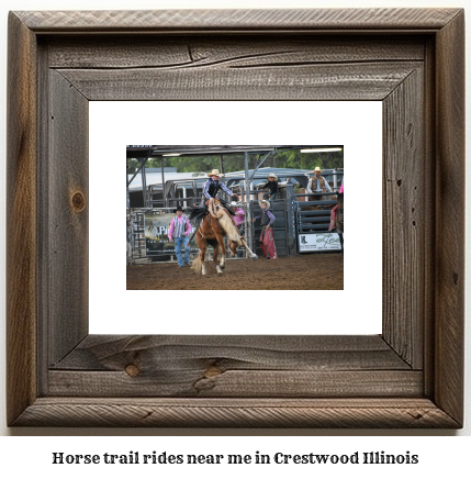 horse trail rides near me in Crestwood, Illinois